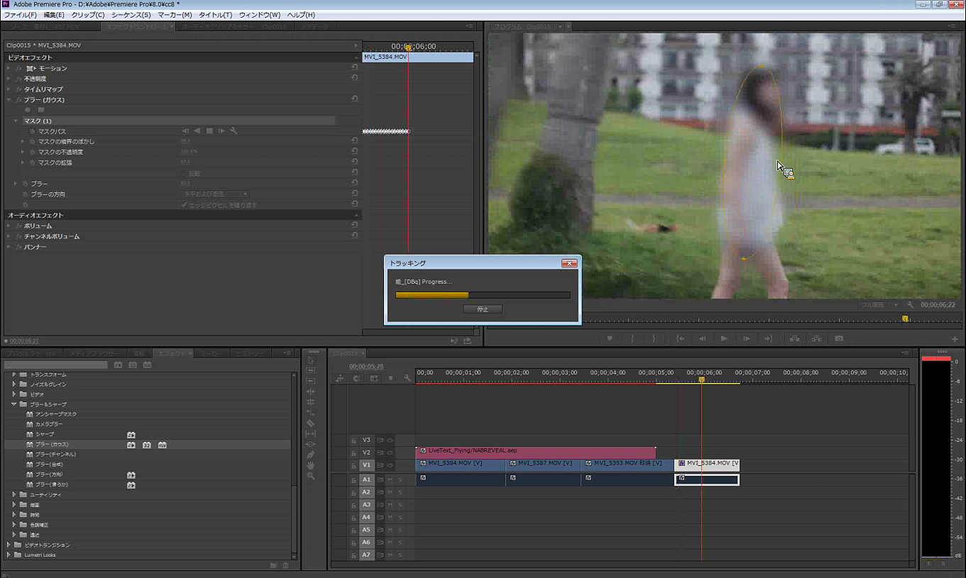 Adobe Premiere Pro CC