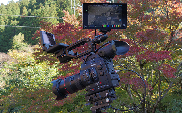 キヤノンEOS C300 Mark II 〜カメラ本体記録とRAW出力での4K撮影、基本性能と操作性も向上した正統後継機 | ビデオ α